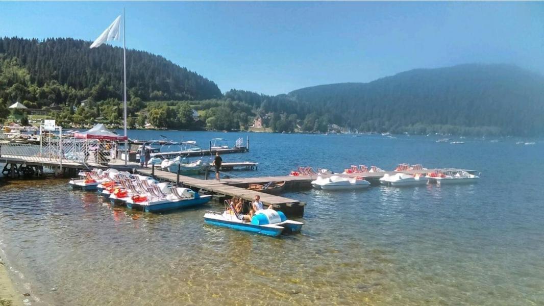 شقة La Perle Au Bord De La Riviere جوراردُميه المظهر الخارجي الصورة
