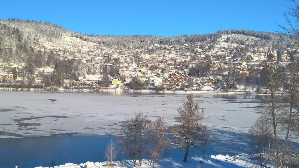 شقة La Perle Au Bord De La Riviere جوراردُميه المظهر الخارجي الصورة